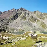 Alpin-1 By Interhome