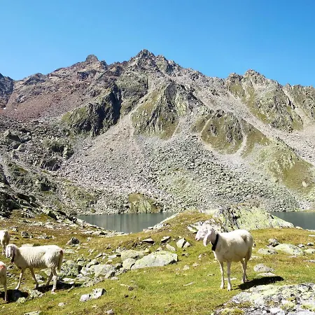 Alpin-1 By Interhome